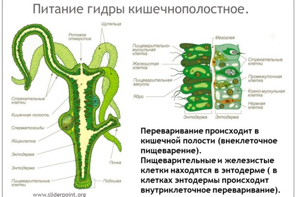 Сайт омг тор